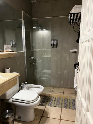 a bathroom with a toilet and a glass shower at Chañarmuyo Casa de Huéspedes in Chañarmuyo
