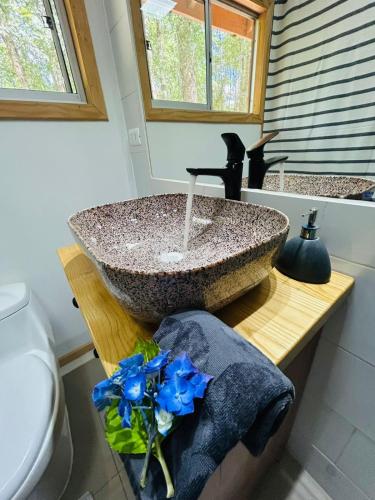 a bathroom with a granite sink and blue flowers at Parcela Traitraico, Coñaripe in Coñaripe