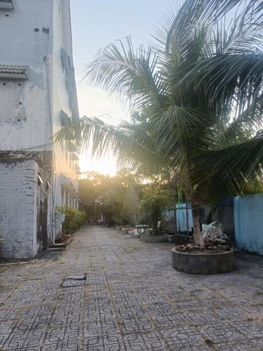 a palm tree in the middle of a street at Homestay Mỹ Ánh 1 in Phú Quốc
