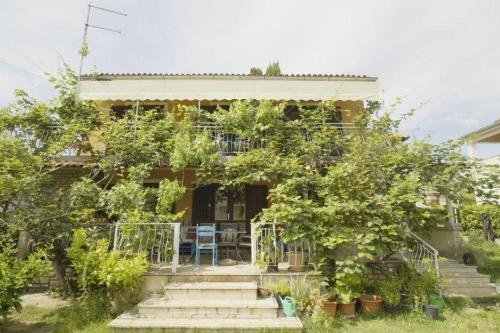 Rooms with a parking space Rovinj - 2245