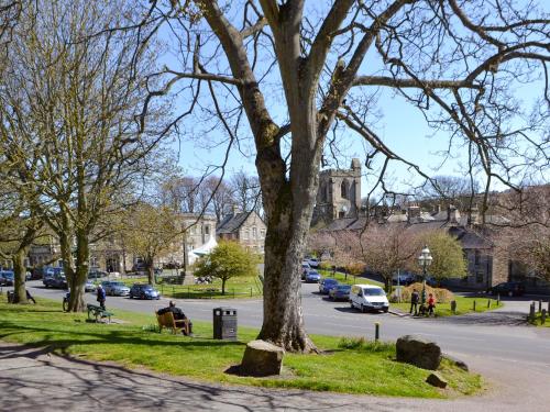 a tree on the side of a street at The Malt House in Rothbury