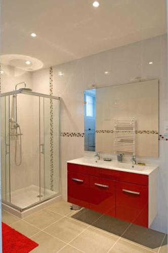 a bathroom with a shower and a sink and a mirror at Le balcon de la crémaillère in Langres