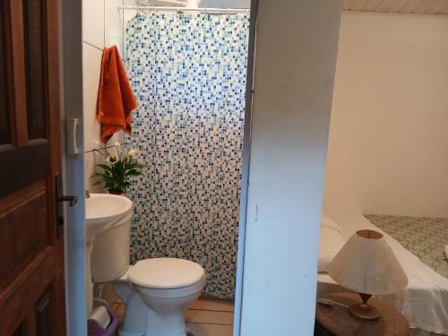 a bathroom with a toilet and a shower at Pousada Jacu Acu in Petrópolis