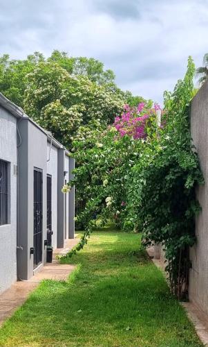 an alley between two buildings with trees and pink flowers at La casa de Flor in San Martín
