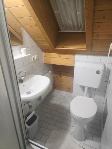a small bathroom with a toilet and a sink at Gästehaus Deisl in Mariapfarr