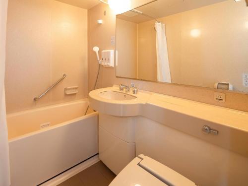 a bathroom with a sink and a toilet and a mirror at Comfort Hotel Toyokawa in Toyokawa