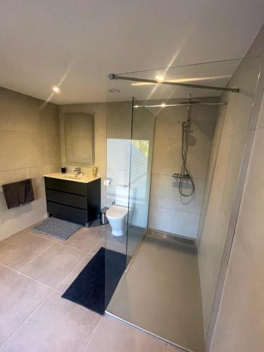 a bathroom with a shower and a toilet and a sink at Willow in Clifden