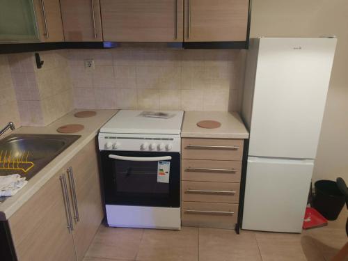 a kitchen with a white stove and a refrigerator at Super central studio apartment in Kalavrita