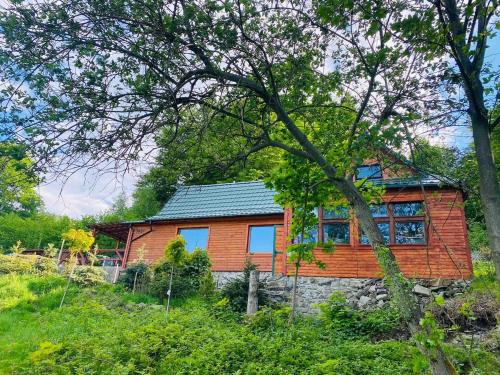 a wooden house in the middle of a forest at Pod Srebrzystym Świerkiem - Jacuzzi in Koszarawa