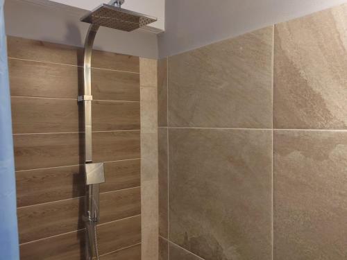 a shower with a shower head in a bathroom at villa vagelis in Mourteri