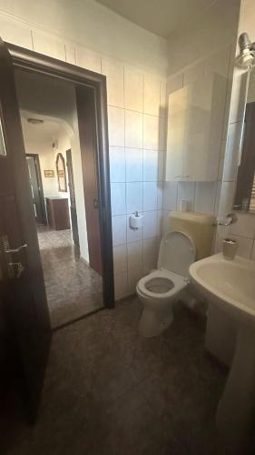 a bathroom with a toilet and a sink at 2 Rooms Center Ramnicu Valcea in Râmnicu Vâlcea