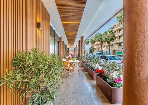 Apartments in Alghero just 150 mt from the beach photo 2