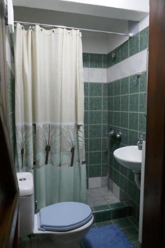 a bathroom with a shower curtain with a toilet and a sink at Studio in Elatochori - O Elato in Elatochori
