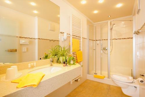 a bathroom with a sink and a toilet and a shower at Hotel Alpenblick in Fischen