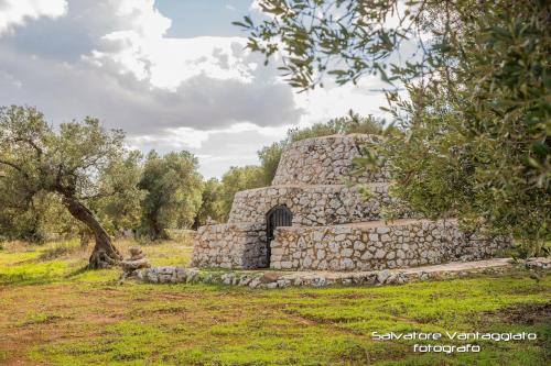 an old stone building in a field with trees at Agriturismo Spirdo in Ruffano