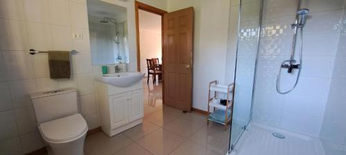 a bathroom with a toilet and a sink and a shower at Cabañas Las Araucarias in San José de la Mariquina