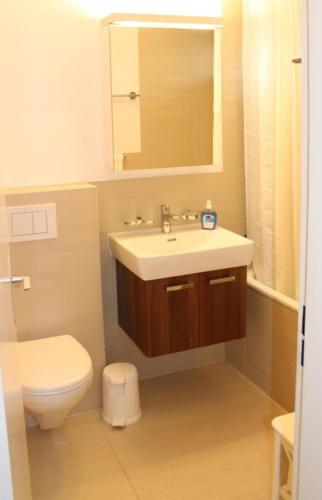 a bathroom with a sink and a toilet and a mirror at Ferienhaus Fisch in Bad Ragaz