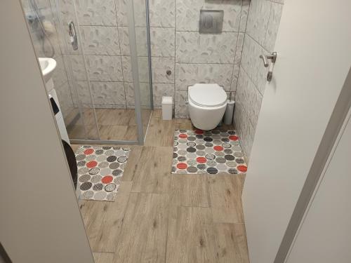 a small bathroom with a toilet and a shower at Apartment Lane in Bihać