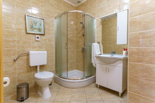 a bathroom with a shower and a toilet and a sink at Planinske kuce Good Night in Donji Babin Potok