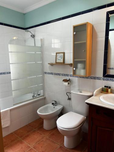 a bathroom with a toilet and a sink at La Casa del Camaleon in Chipiona