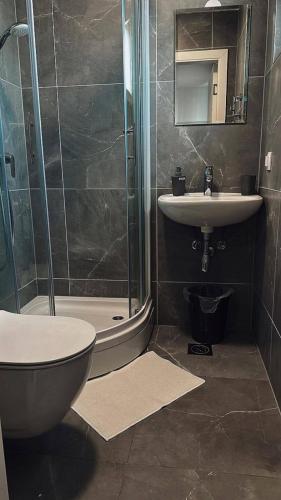 a bathroom with a shower and a sink and a toilet at Gold Apartmani Kozarac in Kozarac