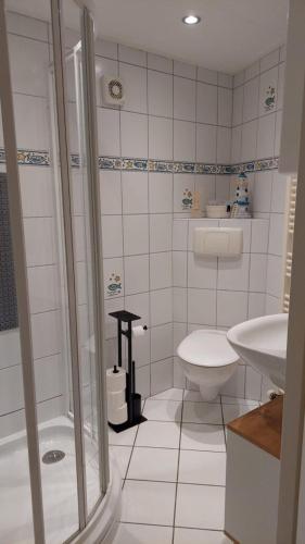 a bathroom with a shower and a toilet and a sink at Ferienwohnung Nordholland in Nieuwe-Niedorp