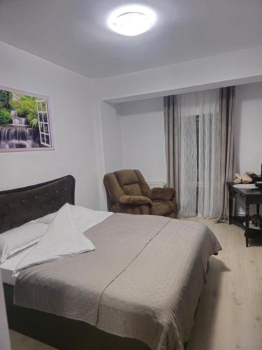 a bedroom with a bed and a chair and a desk at New Airport Apartment in Sibiu