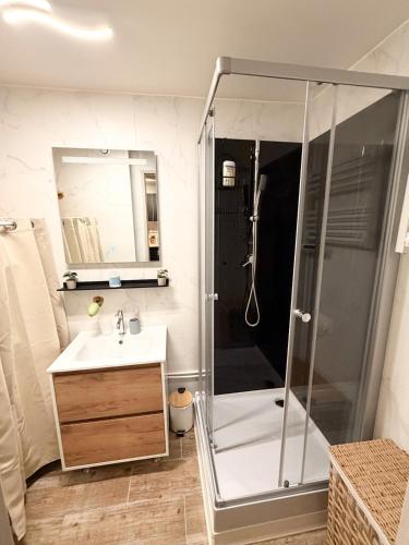 a bathroom with a shower and a sink at L' Escapade Pannessac premier étage in Le Puy-en-Velay
