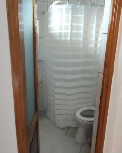 a bathroom with a toilet and a white wall at Pensiunea Patru Brazi in Muntele Cacovei