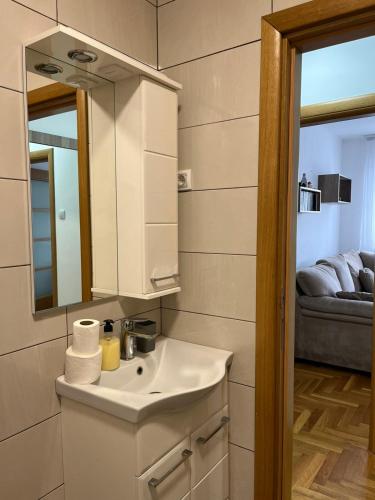 a bathroom with a sink and a mirror and a bed at Apartman Burinović in Temerin