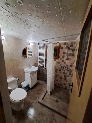 a bathroom with a toilet and a sink at Дядо Цоньовата къща самостоятелен имот с басейн in Sevlievo