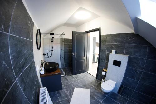 a bathroom with a shower and a toilet in it at Mera House Bilbor in Bilbor