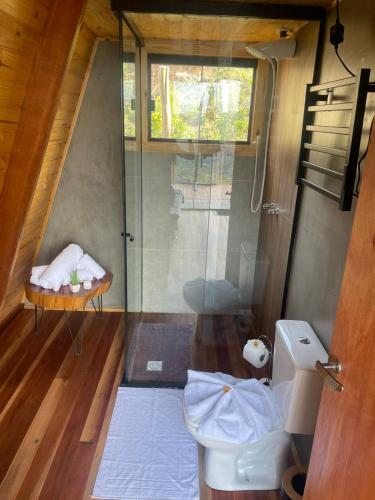 a small bathroom with a shower and a toilet at Chalé Colinas in Campos do Jordão