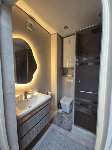 a bathroom with a sink and a shower and a toilet at ЖК Альфараби in Kokshetau