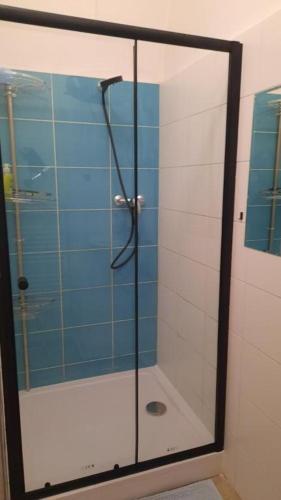 a shower with a glass door in a bathroom at Relax apartmá Brno central - Brno střed in Brno
