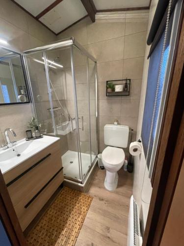 a bathroom with a shower and a toilet and a sink at Chalet aan de Rotte in Rotterdam