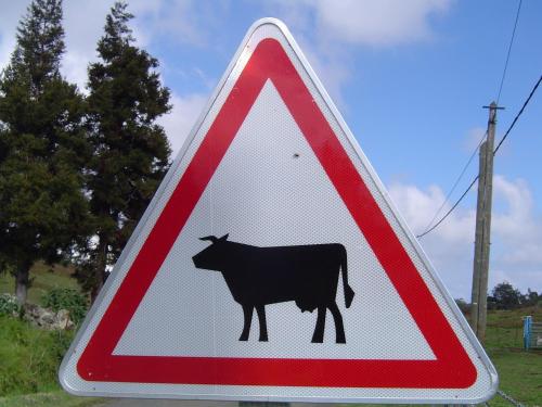a traffic sign with a cow on it at Relais du Volcan in La Plaine des Cafres