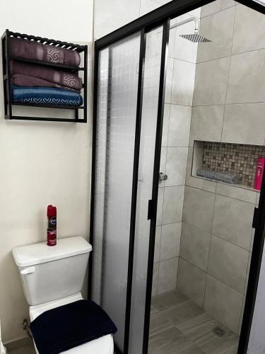 a bathroom with a shower and a white toilet at Departamento Paty in Tampico