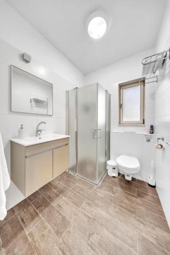 a bathroom with a shower and a toilet and a sink at Engel apartments -אירוח למטיילים בגליל עליון in Tsiv'on