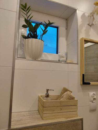 a bathroom with a sink and a potted plant on a mirror at Domek Kaprys Piatkowa in Piątkowa