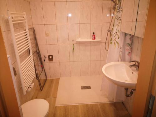 a small bathroom with a sink and a shower at Ferienwohnung Dickes in Brandenburg an der Havel