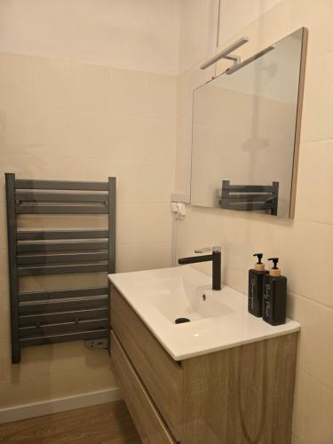 a bathroom with a sink and a mirror at Gîte entre vigne et loire Sancerre Amigny in Sancerre
