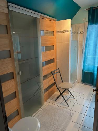 a bathroom with a shower and a chair and a toilet at Chez Corinne et Michel in Saasenheim