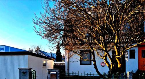 Chalet Schwgan