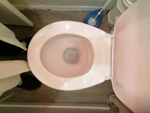 a white toilet in a bathroom with the seat down at X1 Chambre appartement T3 cohabitation partie commune et salon in Chambéry