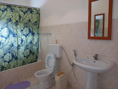 a bathroom with a toilet and a sink at ROMANA guest house in Tarrafal da Vila de Ribeira Grande