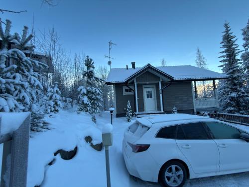 Villa IRIS 3, Himos under vintern
