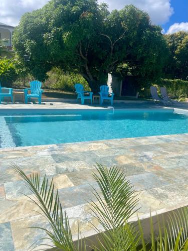 a swimming pool with blue chairs and a tree at Mango-passion Le Domaine Mannou in Sainte-Rose