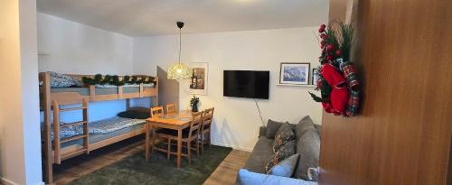 a room with a couch and a table and a bunk bed at Anikaapartmani, Brzeće in Brzeće