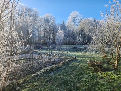 a garden in a field with trees in the background at Moulin de Montizeau in Saint-Maigrin